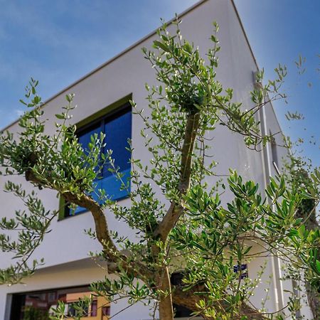 ロヴィニ Casa Inesヴィラ エクステリア 写真